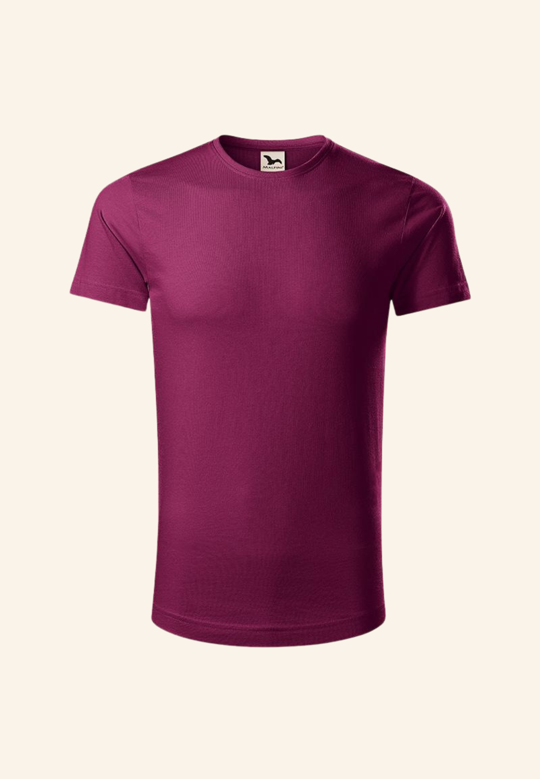 Tee-shirt homme Bio Léo