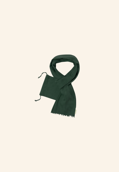 FOULARD BIO DAMIEN